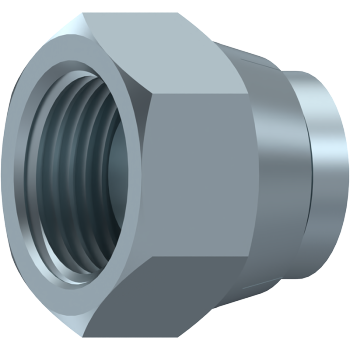 BSP Swivel Female Cap 60° Cone